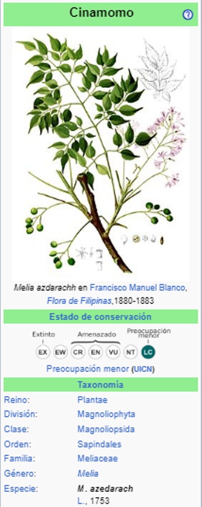 PARAISO – MELIA 